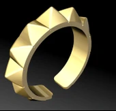 Byr yüzük (Plastik Aparattır!!!) 3D thumbnail 3