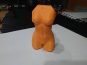 Byr Kadın Gövdesi (Plastik Aparattır!!!) 3D thumbnail 5