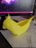 Byr Sultan Papağanı Remix Kasesi (Plastik Aparattır!!!) 3D - 4