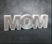 Byr ANNE Kase (Sadece Plastik Aparattır!!!) 3D - 2