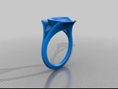 Byr Yüzük (Plastik Aparattır!!!) 3D thumbnail 3