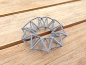 Byr Geometrik Torus Kolye (Plastik Aparattır!!!) 3D thumbnail 3