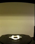 Byr Vertebra C1 Atlası (Sadece Plastik Aparattır!!!) 3D thumbnail 1