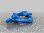 Byr Vertebra C1 Atlası (Sadece Plastik Aparattır!!!) 3D thumbnail 3