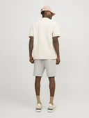 Jack Jones Kane Vesterbro Relaxed Fit Erkek Şort 12252251 - 4