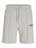 Jack Jones Kane Vesterbro Relaxed Fit Erkek Şort 12252251 - 1