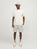 Jack Jones Kane Vesterbro Relaxed Fit Erkek Şort 12252251 - 5