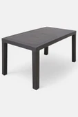 Niron I2 Maya 6 Kişilik Rattan Plastik Bahçe Masa Sandalye Takımı Özel Teslimat ve Montaj - 6