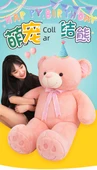 Ayıcık Peluş Yastık - Göl Mavisi - 55cm - 7