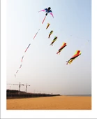 Kite Kuyruk Aksesuarı - Büyük Davul Siyah Beyaz Pudra - 10