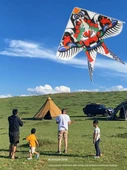 DIY Boyama Uçurtması - Çin Tarzı Renkli Uçurtma - Baifu Pian Zhen (50 m İp + 6 Renk Pigment + 1 Kalem) - 5