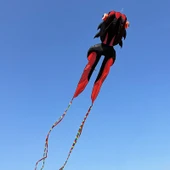 Yumuşak Siyah Kırmızı Altınbalık Uçurtması - Uçuş Araçları Yok - 1