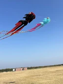 Yumuşak Siyah Kırmızı Altınbalık Uçurtması - Uçuş Araçları Yok - 3