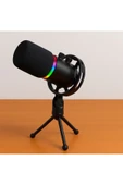 Coverzone RGB Profesyonel Stüdyo Mikrofon Kayıt USB/XLR Çift Modlu Podcast Dinamik Mikrofon Masaüstü Q1 - 3