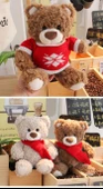 Ayıcık Peluş Oyuncak - Kar Tanesi Kazak Yeşil - 26cm + Hediye Çantası + Işık Sarmalı - 11