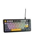 Coverzone Ajazz AK820 Max HE Hall Effect Manyetik Switch Kablolu Oyun Klavyesi 8000Hz Siyah Beyaz - 8
