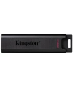 Kingston 256GB USB 3.2 Gen 2 DataTraveler Max - 1