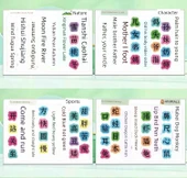 Okuryazarlık Pinyin Bulmacası - K81 - 8 Bulmaca Tam Set (256 Kelime) - 9