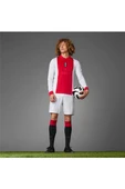 adidas Erkek  Beyaz  Forma AJAX 125 JSY JF6340 - 12