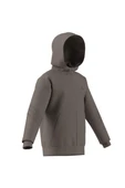 adidas Çocuk  Bej  Sweatshirt J FI 3S FZ HD JJ4807 - 11