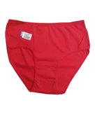 Sedef Yıldız Bayan Büyük Beden Ribana İnce Lastik Külot 1047 thumbnail 4