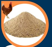 Narım 50 KG Proteinli Özel Tavuk ve Tüm Kanatlı Hayvanlar İçin Besi ve Yumurta Yemi - 3