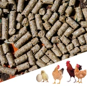 Narım 1 KG Pelet Proteinli Özel Tavuk Kaz Ördek ve Kanatlı Hayvan Besi Yumurta Yemi 1 KG - 1