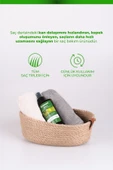 Tresan Dökülme Karşıtı Isırgan Otu Güçlendirici Bakım Şampuanı 300 ml Yağlı Saçlar Için Tresan K.ağa - 2