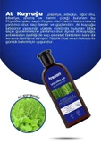 Tresan At Kuyruğu Hacimlendirici Bakım Şampuanı 300 ml Tresan K.ağacı Özlü Saç Toniği 125 Ml. - 2