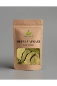 Birinci Sınıf Sinop Defne Yaprağı, hazımsızlık, şişkinlik Ve Gaz Sorunu iyi Gelir %100 Doğal, 50 Gr - 1