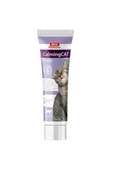 Bio Pet Active Calming Cat Sakinleştirici Kedi Macunu 100ml - 1