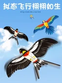 Çocuklar için Uçurtma - Wang Wang Takımı - 6