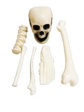 CADILAR BAYRAMI HALLOWEEN KEMİK VE KURUKAFA BEYAZ DEKOR SÜS - 1