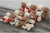 Ayıcık Oturan Çiçek Tutan - 20cm - Beyaz - 9
