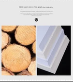 250G Süper Beyaz Yüzen Altın A3 +50 Yaprak thumbnail 9