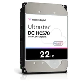 WD Ultrastar 3.5 inc 22TB 7200RPM 512MB HC570 0F48155 WUH722222ALE6L4 Sabit Disk - 1