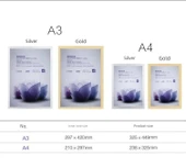 Manyetik Emme Ferrulu Altın A3 (42*29.7cm) arka manyetik Şeffaf Koruyucu Kapaklı Duvar Magneti - 4