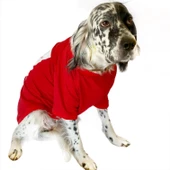 Noel Baba ve Rudolph Büyük Irk Köpek Tişörtü - 6