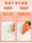 Meyve Silgiler - 3 Paket/Ananas - 5