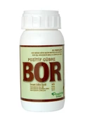 Borlu Çinkolu Bor Noksanlığında Şekil Düzgünlüğü Sağlar Çiçek Meyve Tutumu Polen Oluşumu 250cc - 1