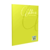 GIPTA MİCA PLASTİK KAPAK DEFTER A4 KARELİ 60 YAPRAK (1705) - 5