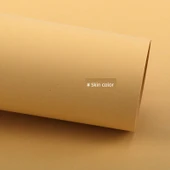 A2/4 Açık 8K Sarı Karton Kalınlaştırılmış DIY Kağıt - A2 (42*59.4cm) Ten Rengi - 10 Sayfa - 1