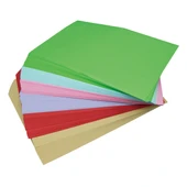 A4 Etiket Yazıcı Kağıdı - A3-80 G Açık Deri Yapışkanlı 50 Sayfa - 6