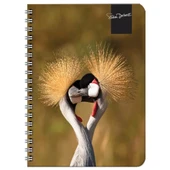 Keskin Color Süha Derbent Çizgili Defter 17x24 cm 120 Yaprak 326811-99 - 2