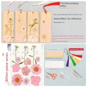 DIY Bitki Örneği Ayraç Malzeme Paketi - 12 Çiçek - 4 Ayraç Malzeme Paketi Suit M thumbnail 1