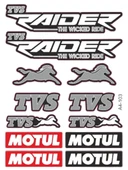 TVS RAIDER 125 STİCKER SETİ SİYAH - 1