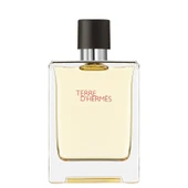 Hermes Terre D'Hermes EDT 100 ml Erkek Parfüm - 1