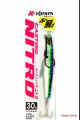 XESTA CASTING NITRO 40G PENPEN - 2