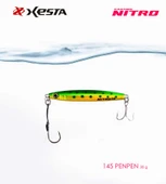 XESTA CASTING NITRO 30G PENPEN - 1