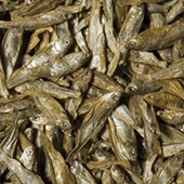 Tropical Dried Fish 250ml 35gr - 2